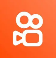 直播伴侣logo